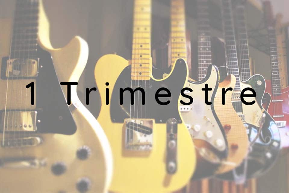 Cours De Guitare Collectif 1 Trimestre